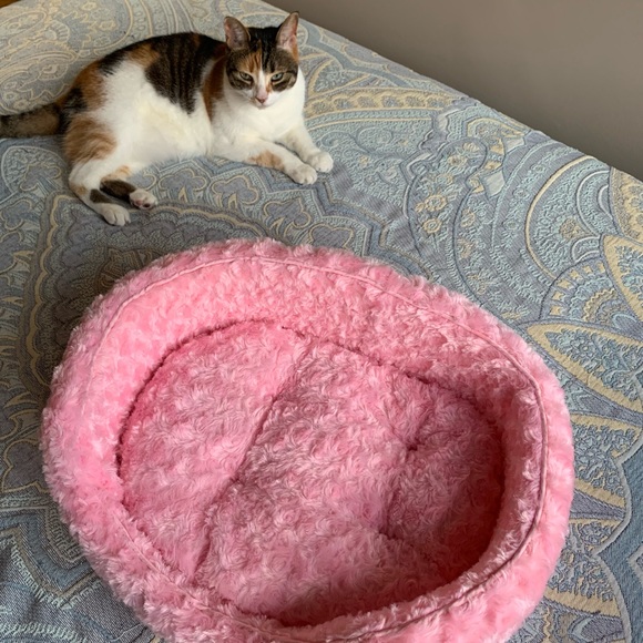 Adorable pet bed - Picture 6 of 6
